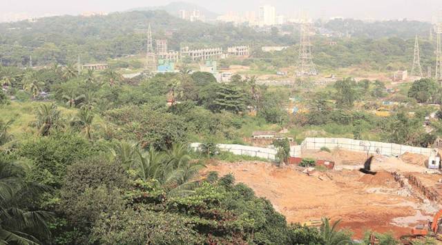 aarey maharashtra
