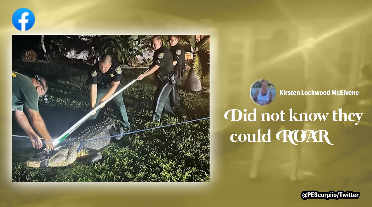11 foot alligator found under jeep in florida, florida alligator, Alligator found under jeep in florida USA, Alligator roars at Florida authorities try to capture it, Indian Express