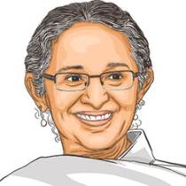 budget allocation, Budget, Union Budget, Union Budget 2025-26, incentives, resources, capital expenditure, Corporate investment, editorial, Indian express, opinion news, current affairs