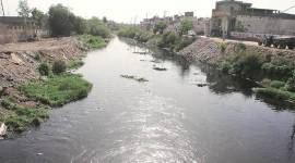 buddha nallah, ludhiana news, punjab news, punjab latest news, indian express news