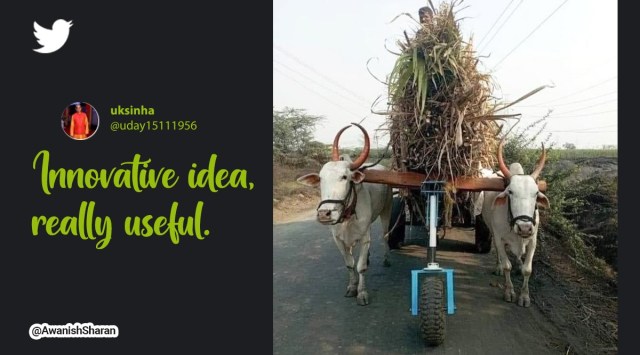 Rajarambapu Institute of Technology, Students of RIT in maharashtra create extra wheel that reduces weight on bulls, RIT students rolling support bullock carts, Innovation India RIT college, Indian Express