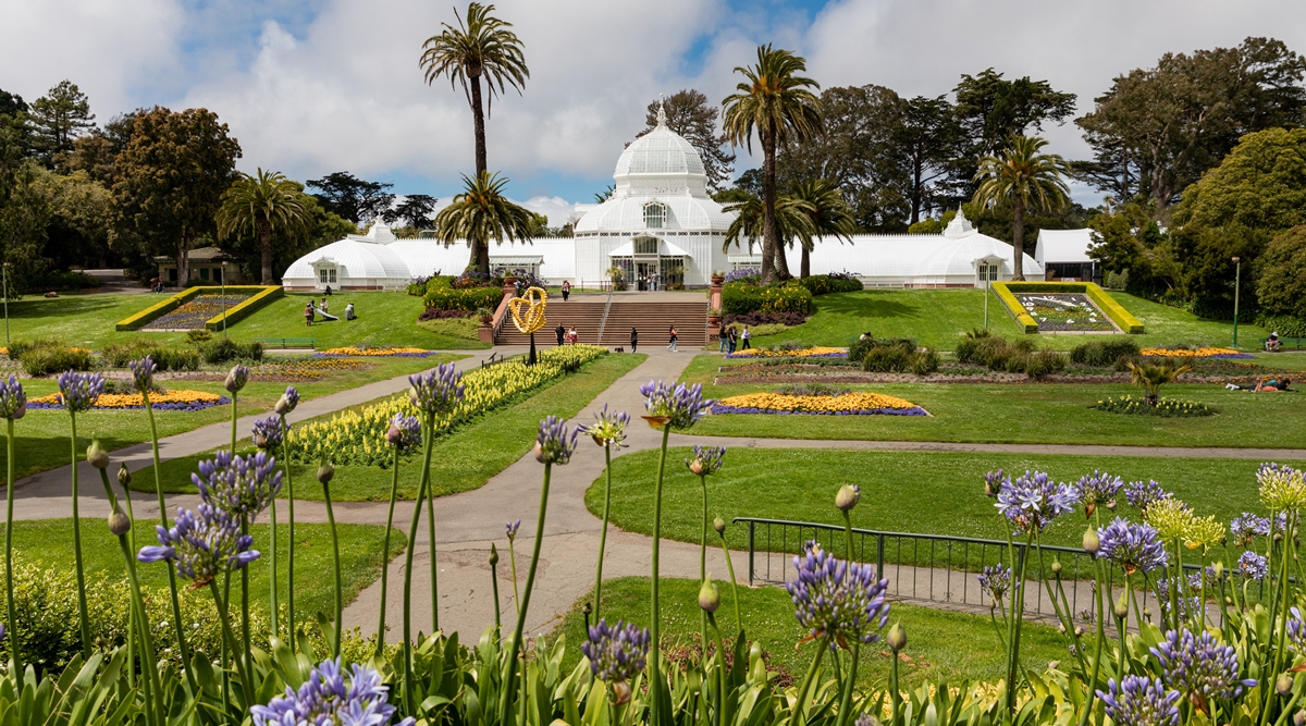 San Francisco shines with new museums, dining establishments and parks