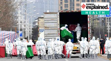 Express Explained, Explained Health, Wuhan, COVID-19, Covid pandemic, Indian Express, India news, current affairs, Indian Express News Service, Express News Service, Express News, Indian Express India News