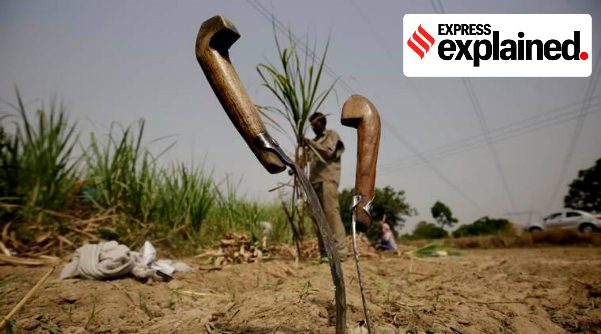 Five states remain outside the scheme after Andhra Pradesh's return. The Union Agriculture Ministry is making efforts to bring some of them back on board. (Express Photo/File)
