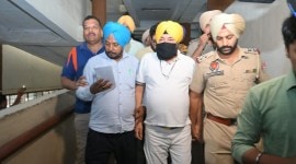 daler mehndi arrested, punjab news