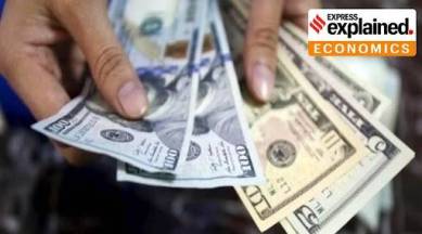 Indian forex reserve, Forex reserves, Explained Economics, foreign exchange, foreign exchange reserves, Explained, Indian Express Explained, Opinion, Current Affairs