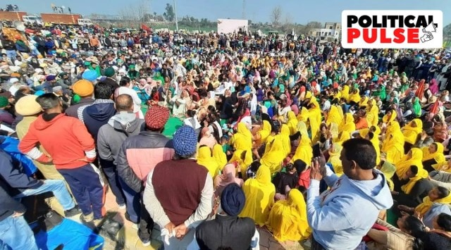 The five pro-government farm union leaders in the committee are Gunwant Patil, Pramod Kumar Chaudhary, Krishna Veer Chaudhary, Guni Parkash, and Syed Pasha Patel.
