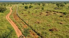 Kuno National Park, Madhya Pradesh, Madhya Pradesh News, cheetah, South Africa, Indian Express, India news, current affairs, Indian Express News Service, Express News Service, Express News, Indian Express India News