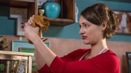 Phoebe Waller Bridge