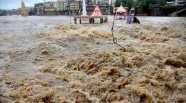 godavari flood
