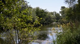 heatwave , indian express