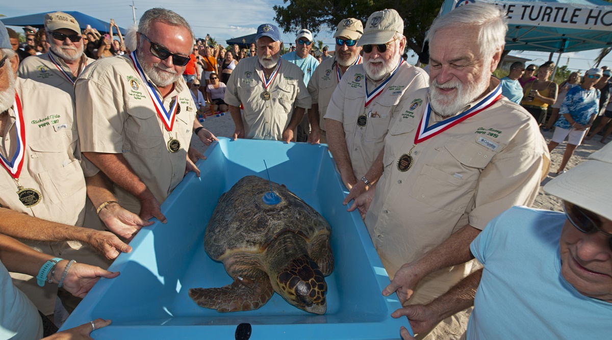 Annual Hemingway look-alike contest begins in US’ Florida Keys