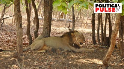 History of the Committee on Conservation of Forests and Wildlife