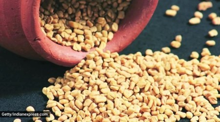 fenugreek seeds, weight lose seed, lose weight, fenugreek seeds are healthy, fenugreek seeds are good for diabetics