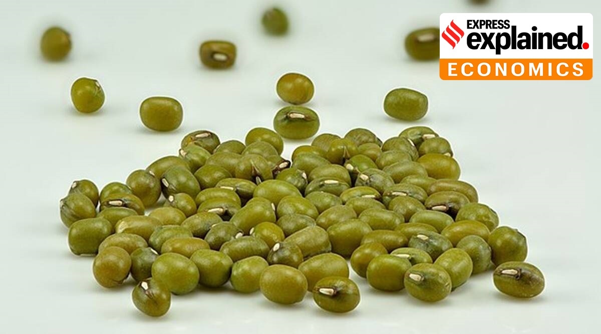 Due to stringent conditions imposed for MSP purchase, farmers have been selling their moong produce to private players below MSP. (Source: Wikimedia Commons)