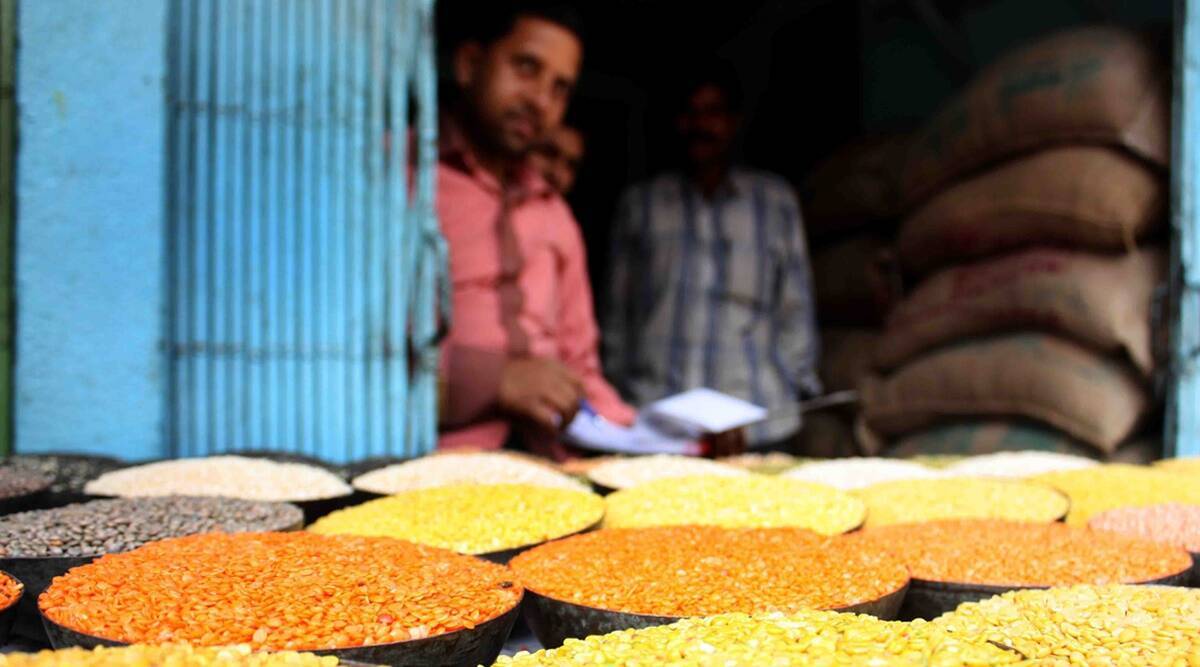 moong pulses punjab