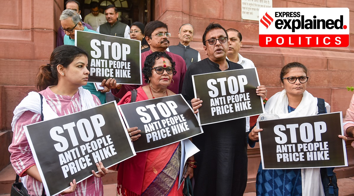 TMC members stage a protest at Parliament House during ongoing Monsoon Session, in New Delhi, Tuesday, July 26, 2022. (PTI Photo/Arun Sharma)   