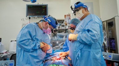 nyu scientists, pig heart transplant, heart transplants
