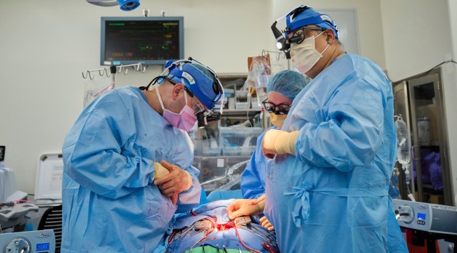 nyu scientists, pig heart transplant, heart transplants