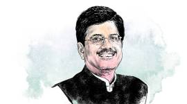 Delhi Confidential, Piyush Goyal, Bhupender Yadav, Dharmendra Pradhan, Anand Sharma, Azadi Ka Amrit Mahotsav, Indian Express, India news, current affairs, Indian Express News Service, Express News Service, Express News, Indian Express India News