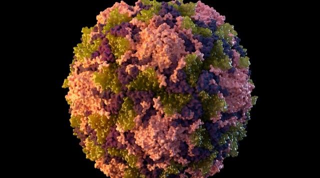 This 2014 illustration made available by the U.S. Centers for Disease Control and Prevention depicts a polio virus particle. (AP)