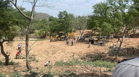 Punjab forest department, indian express