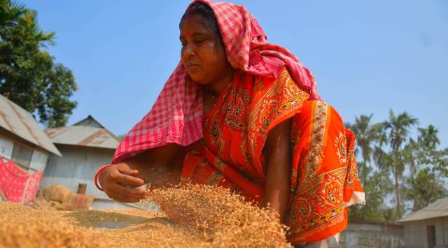 Global food prices decline for third straight month in June | Business ...