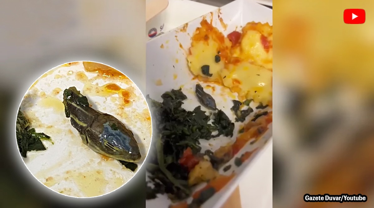 Seorang anggota kru menemukan kepala ular disajikan dalam makanan dalam penerbangan.  Tonton videonya