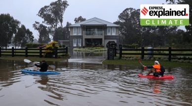 sydney rain, sydney floods, sydney news 2022