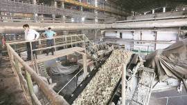 co-op sugar mill, pune co-op sugar mill, Vithal Cooperative Sugar Mill, Bhagirath Bhalke, late NCP MLA Bharat, Pune news, Pune city news, Pune, Maharashtra, Maharashtra government, India news, Indian Express News Service, Express News Service, Express News, Indian Express India News