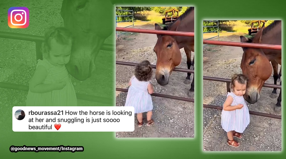 Horsexxxvideos - Gentle giant': Video of horse snuggling with toddler melts hearts of  netizens | Trending News,The Indian Express