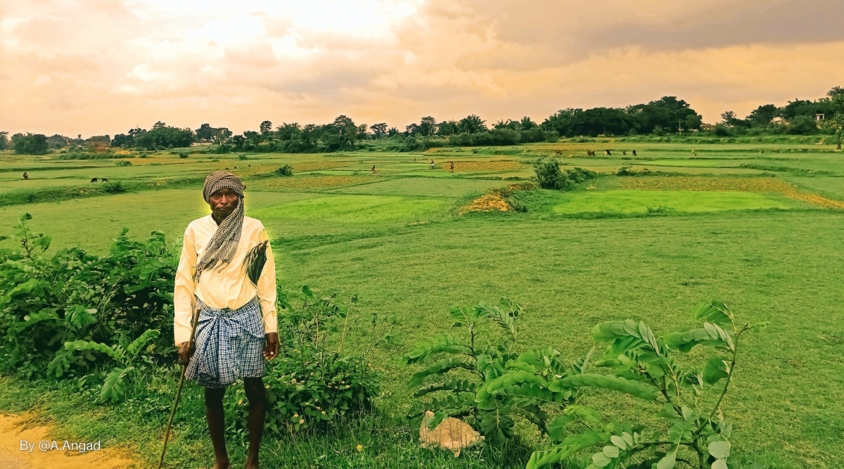 Old Jee Farm Sex - Staring at looming drought, Jharkhand farmers ask: What will we grow and  what will we eat? | India News,The Indian Express