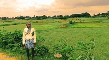Staring at looming drought, Jharkhand farmers ask: What will we grow and what will we eat?
