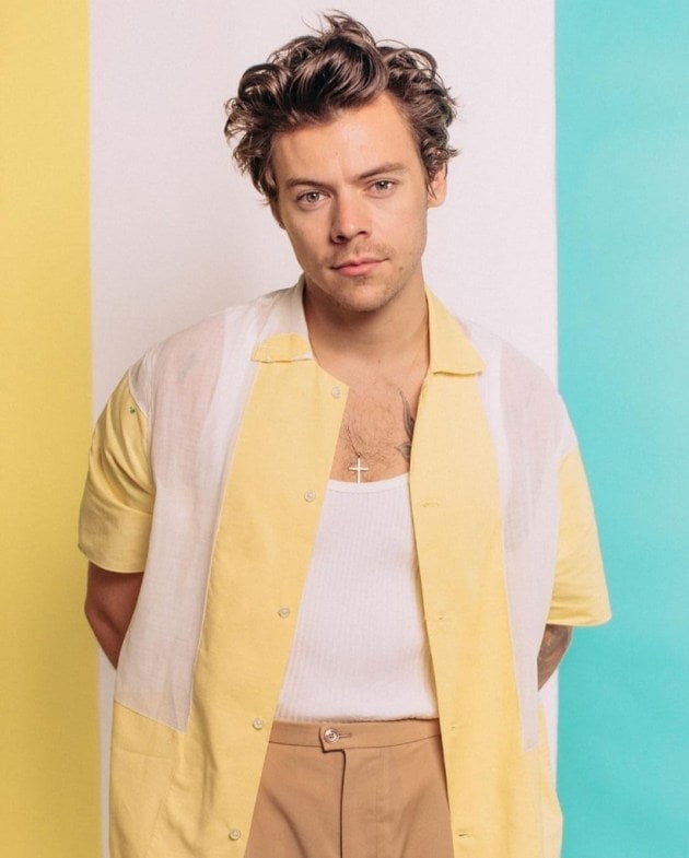 harry styles, gallery