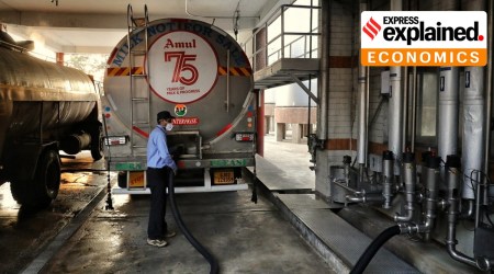 A milk tanker is filled at the Amul dairy plant in Anand, Gujarat. (Express Photo: Nirmal Harindran, File)