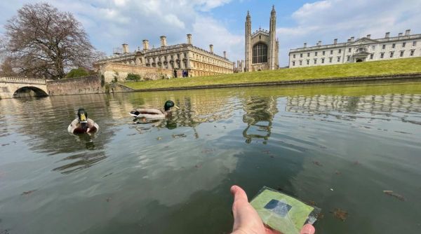 An artificial leaf with the River Cam and some ducks in the background.