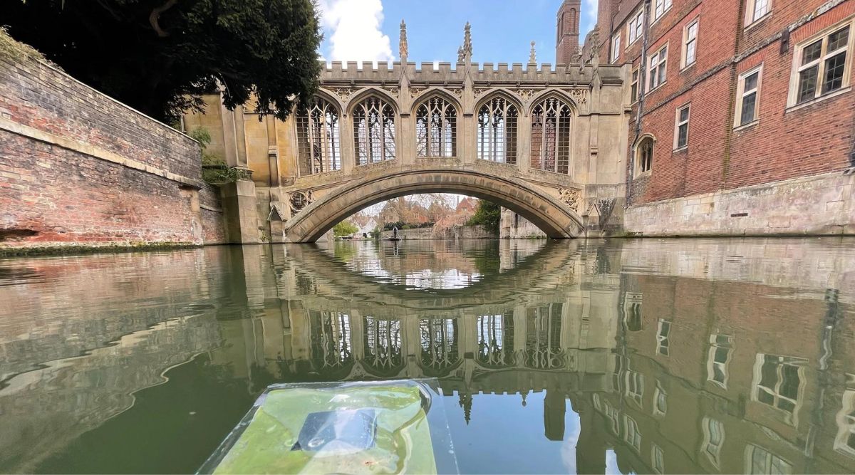 Cambridge researchers develop floating ‘leaves’ that produce clean fuel from sunlight