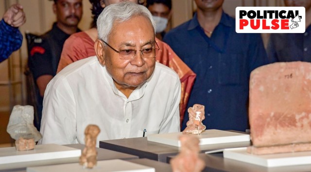 Bihar Chief Minister Nitish Kumar. (PTI)