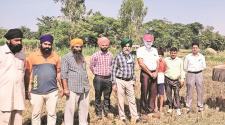 Chief Agriculture Officer Dr Amrik Singh (fourth from left)  during a field demonstration of paddy management and awareness programme. (Express photo)