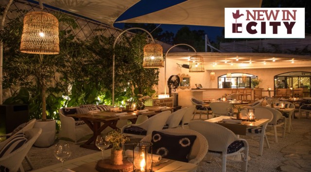 The Olive Cafe & Bar, indian express