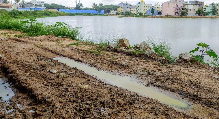 Lakes of Bengaluru: Restored in 2019 but entry of sewage still a ...