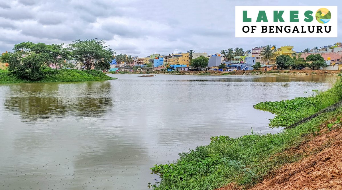 Devasandra lake in K R Puram. (Express photo by Jithendra M)

