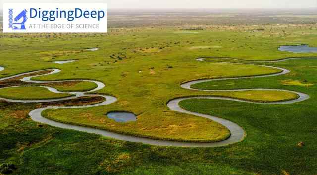 digging deep, digging deep river, river delta, river