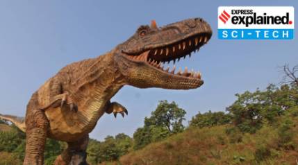 Dinosaur footprints in China: the discovery, its importance