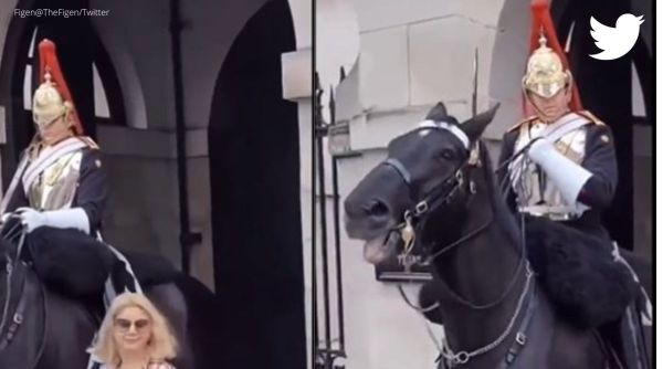 horse guard screams at woman, guard shouts at woman, indian express