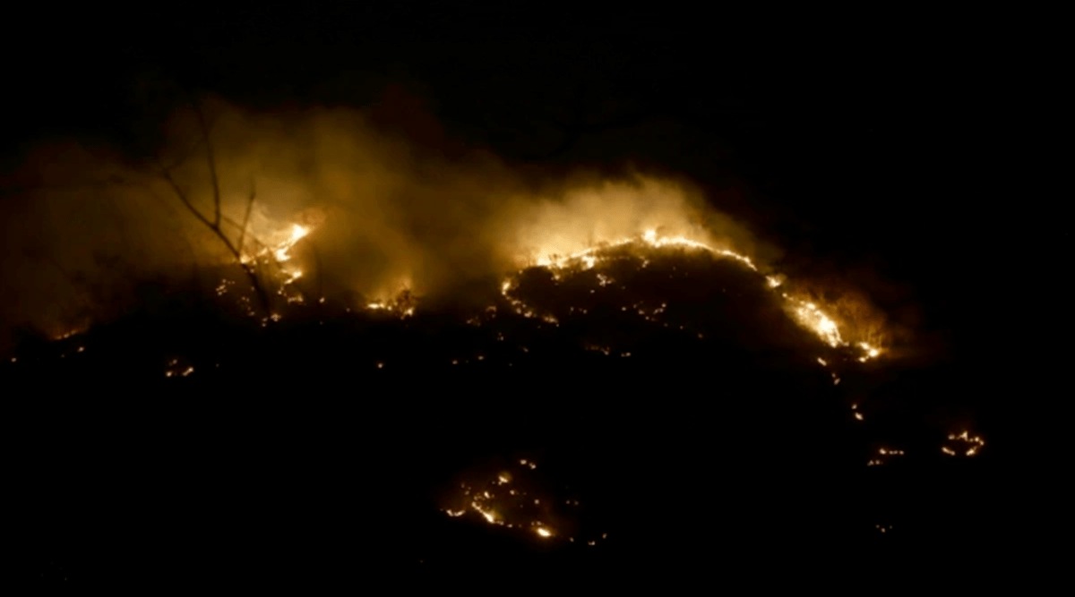 Forest fire, wildfire, temperature rise