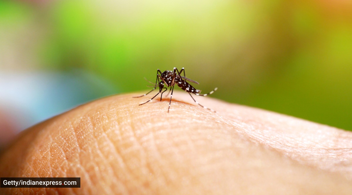 Warning signs that your dengue infection may be getting worse
