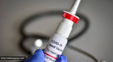 bharat biotech intranasal covid vaccine