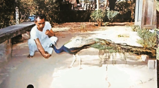 Anis’ father Mohammad Ali, known among Ashram residents as ‘Bachubhai’, at his Ashram residence. 