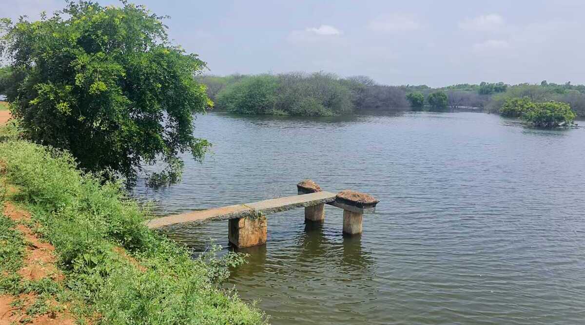Singena Agrahara lake is the first lake in Anekal which was cleared of encroachments and safeguarded from sewage discharge.